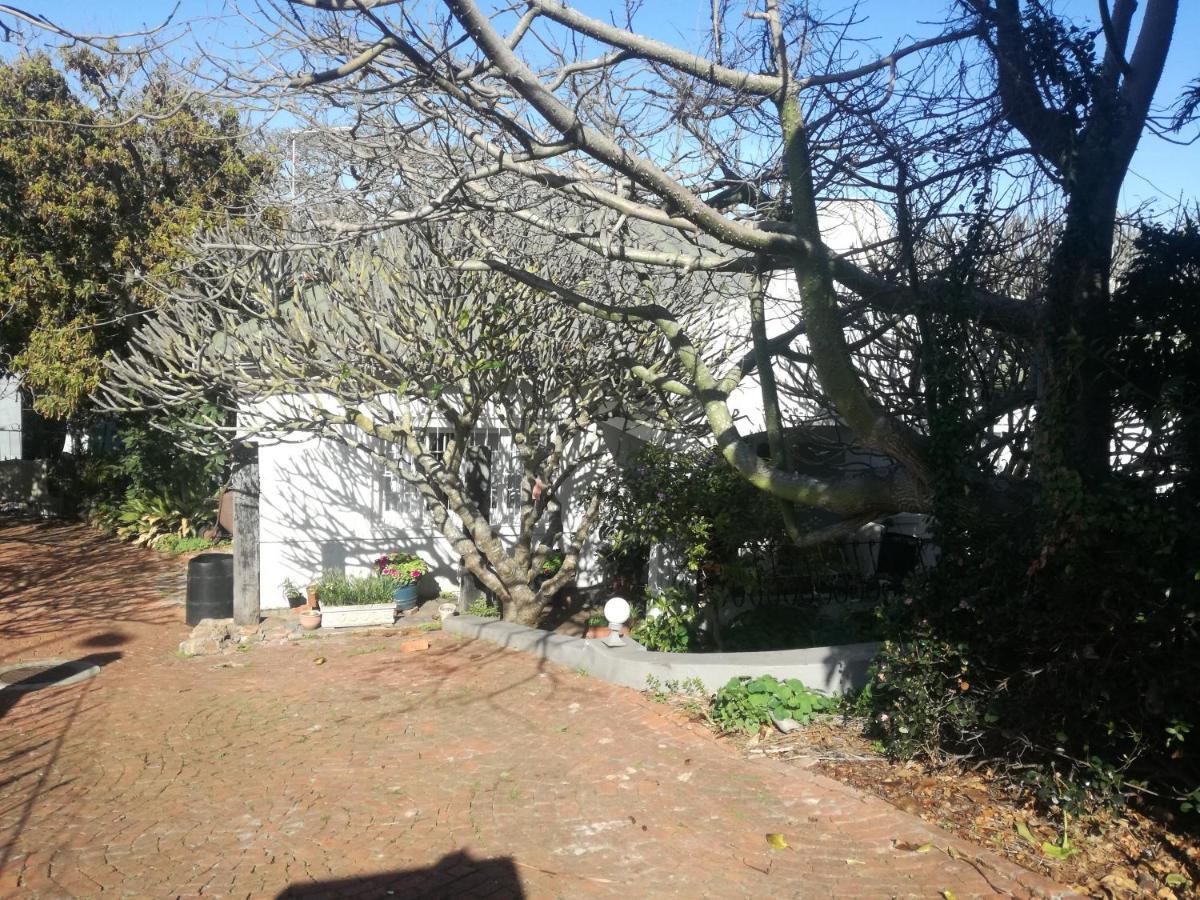 Valley Guest House Port Elizabeth Eksteriør bilde